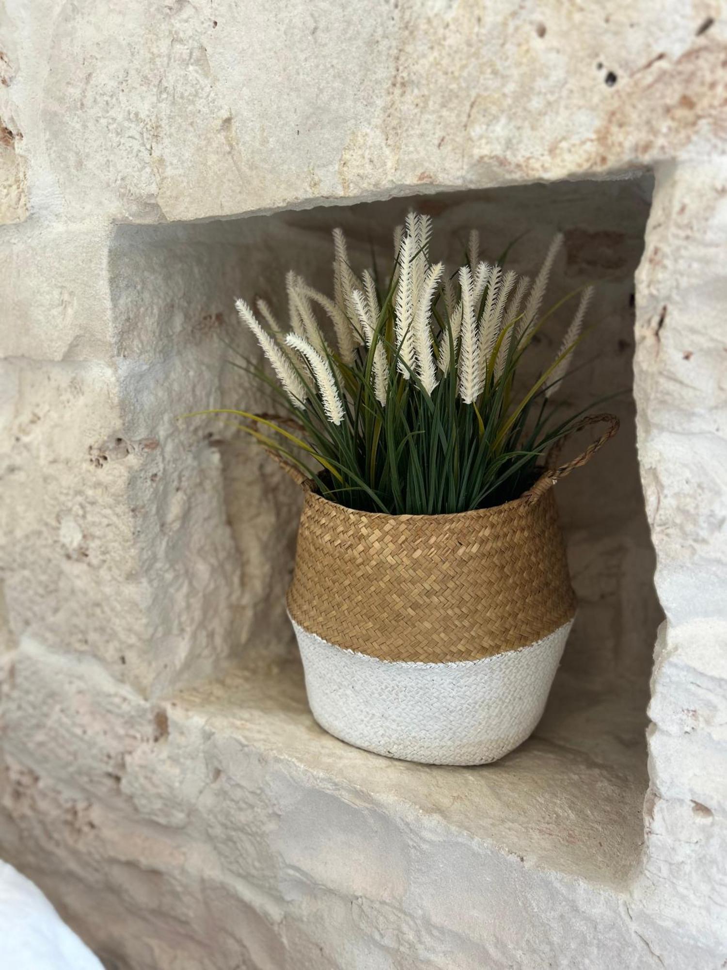 Pensjonat Trulli In Contrada - Monopoli Zewnętrze zdjęcie