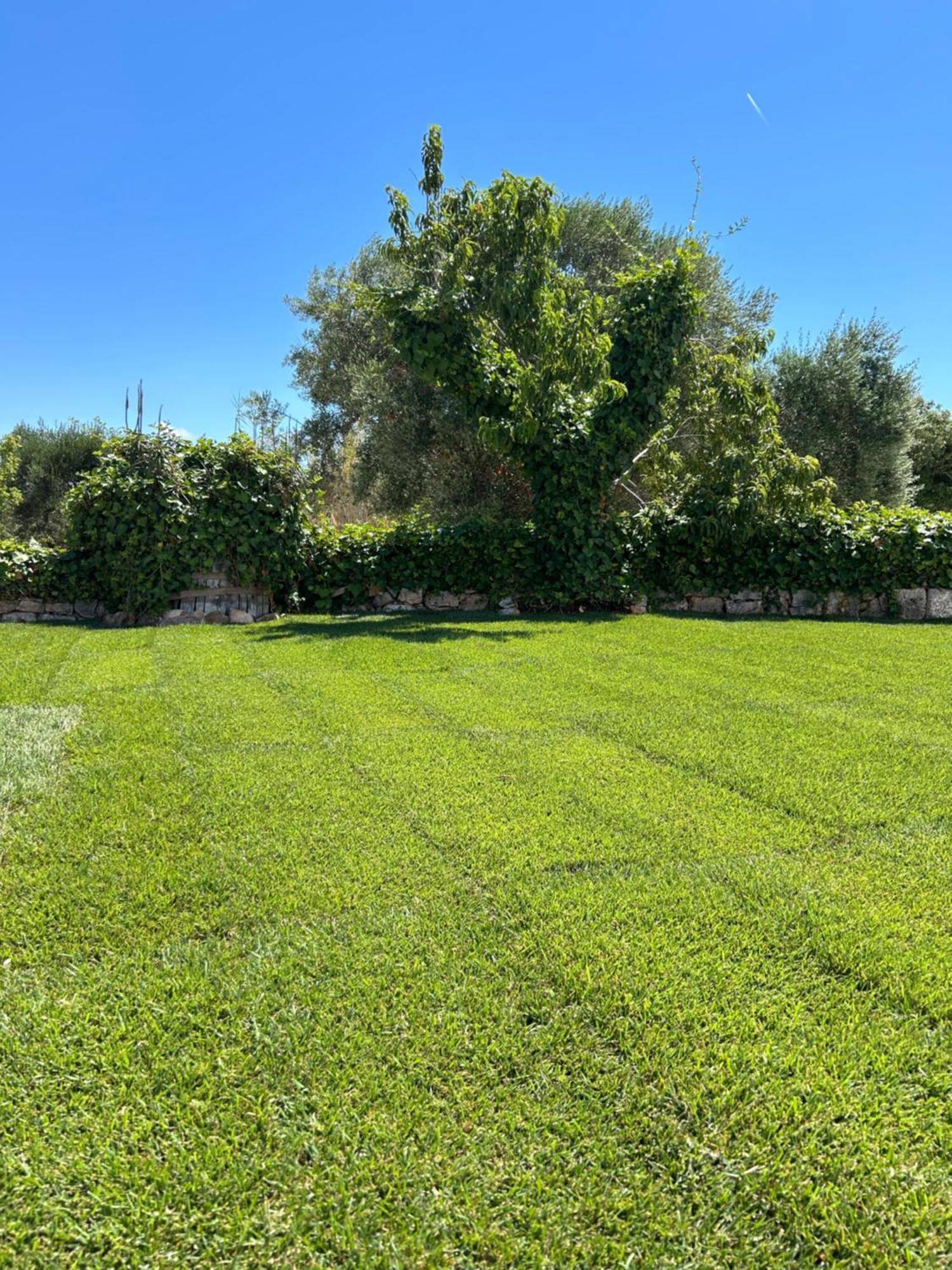 Pensjonat Trulli In Contrada - Monopoli Zewnętrze zdjęcie
