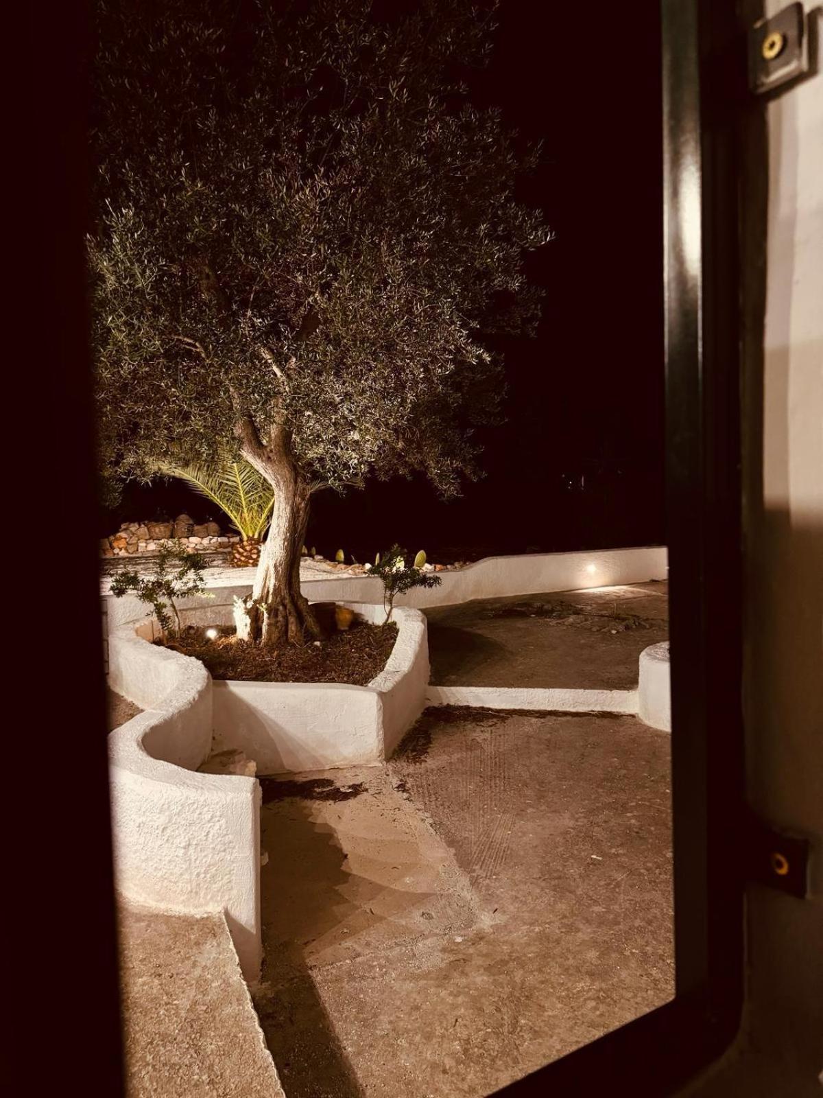 Pensjonat Trulli In Contrada - Monopoli Zewnętrze zdjęcie